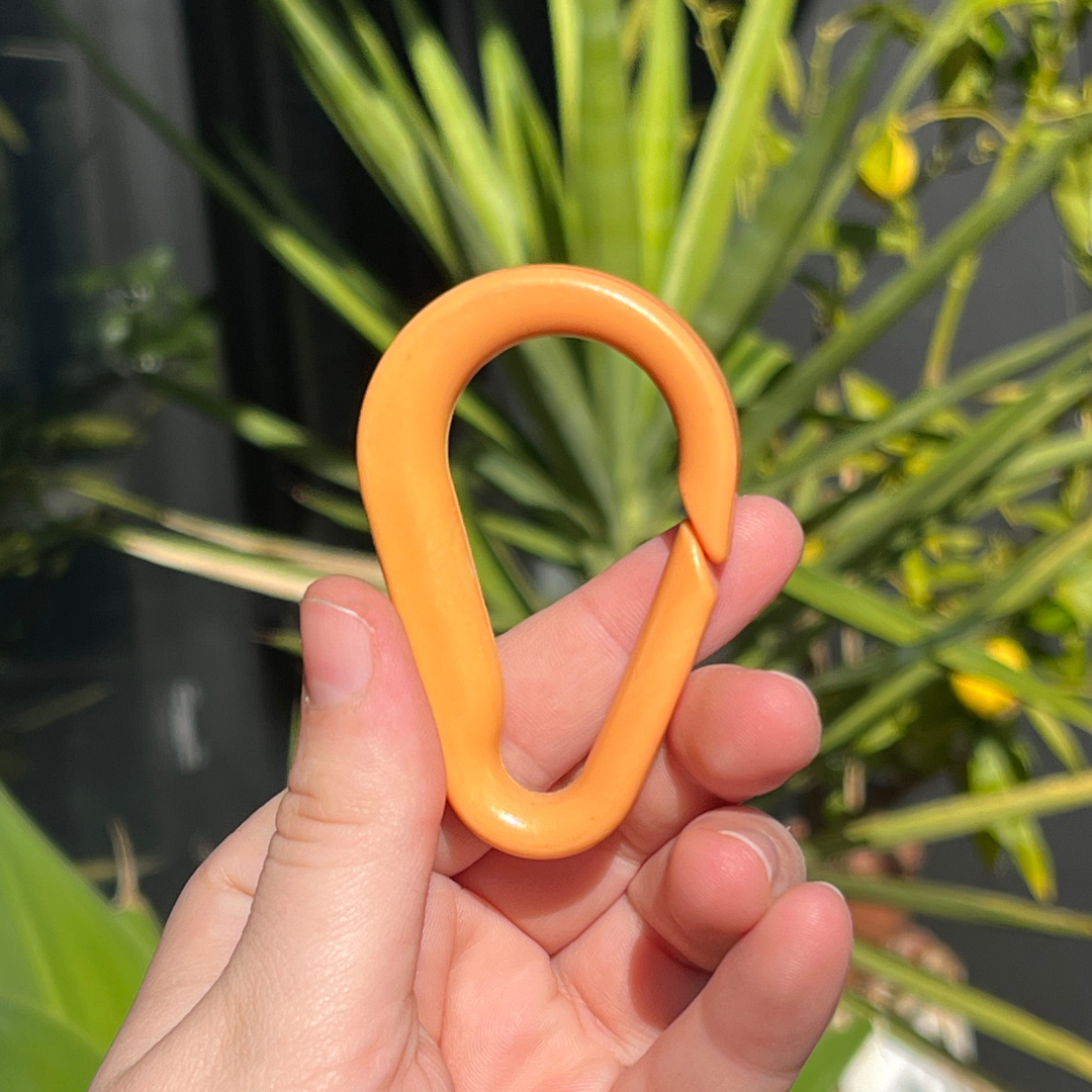 Purpose Precinct 'Closed Loop' Carabiner