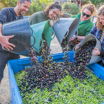 CERES Extra Virgin Olive Oil 500ml