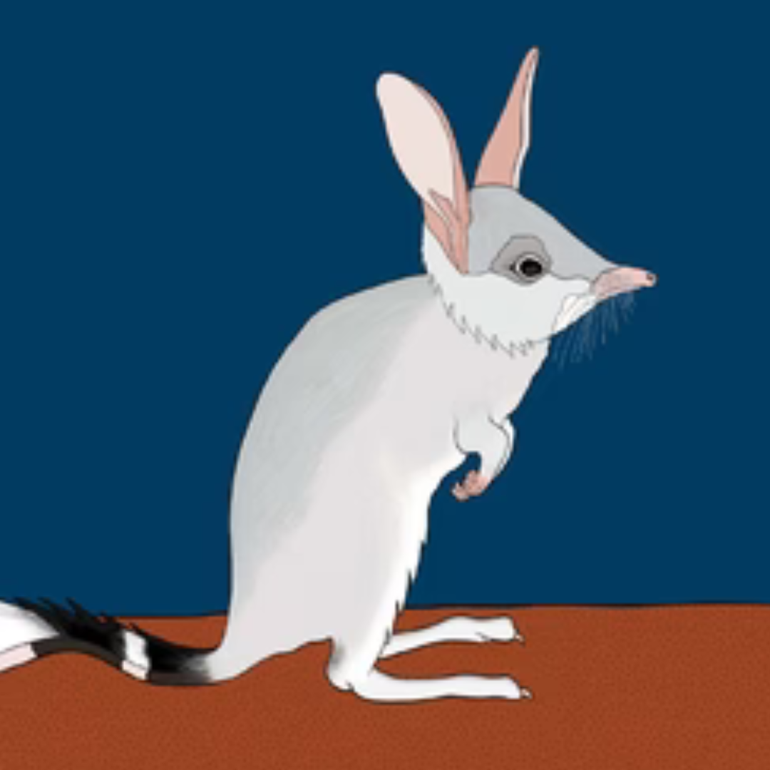 Red Parka Aussie Animals Greeting Cards