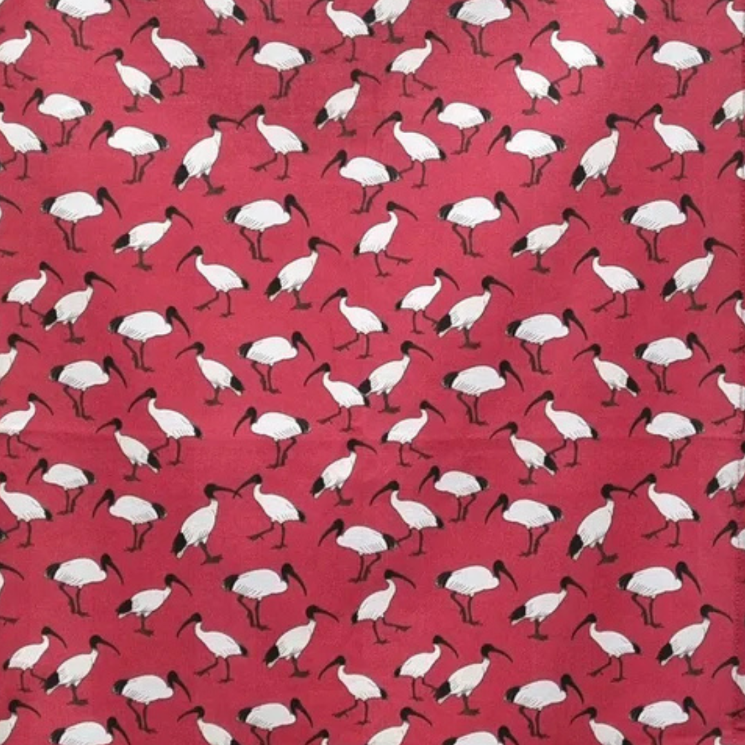 Red Parka Tea Towels