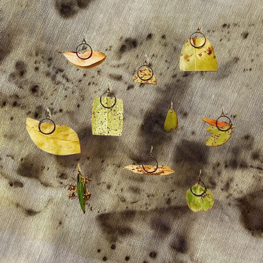 Foundry Nature Hooks