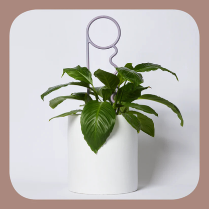 Lucky Things Plant Pins