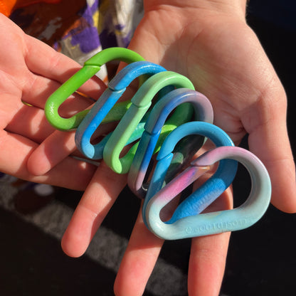 Purpose Precinct 'Closed Loop' Carabiner
