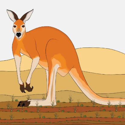 Red Parka Aussie Animals Greeting Cards