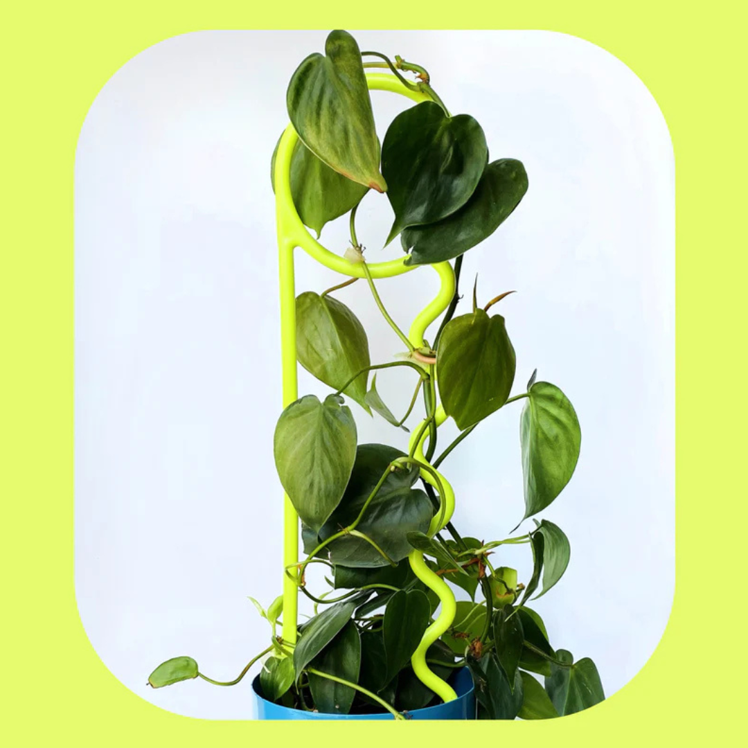 Lucky Things Plant Pins