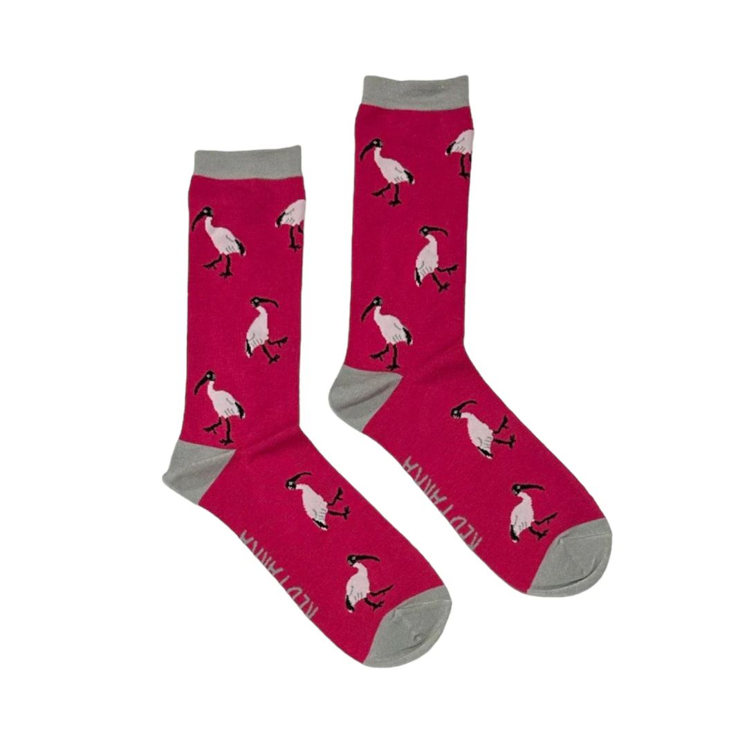 Red Parka Aussie Animal Socks