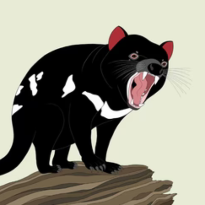 Red Parka Aussie Animals Greeting Cards