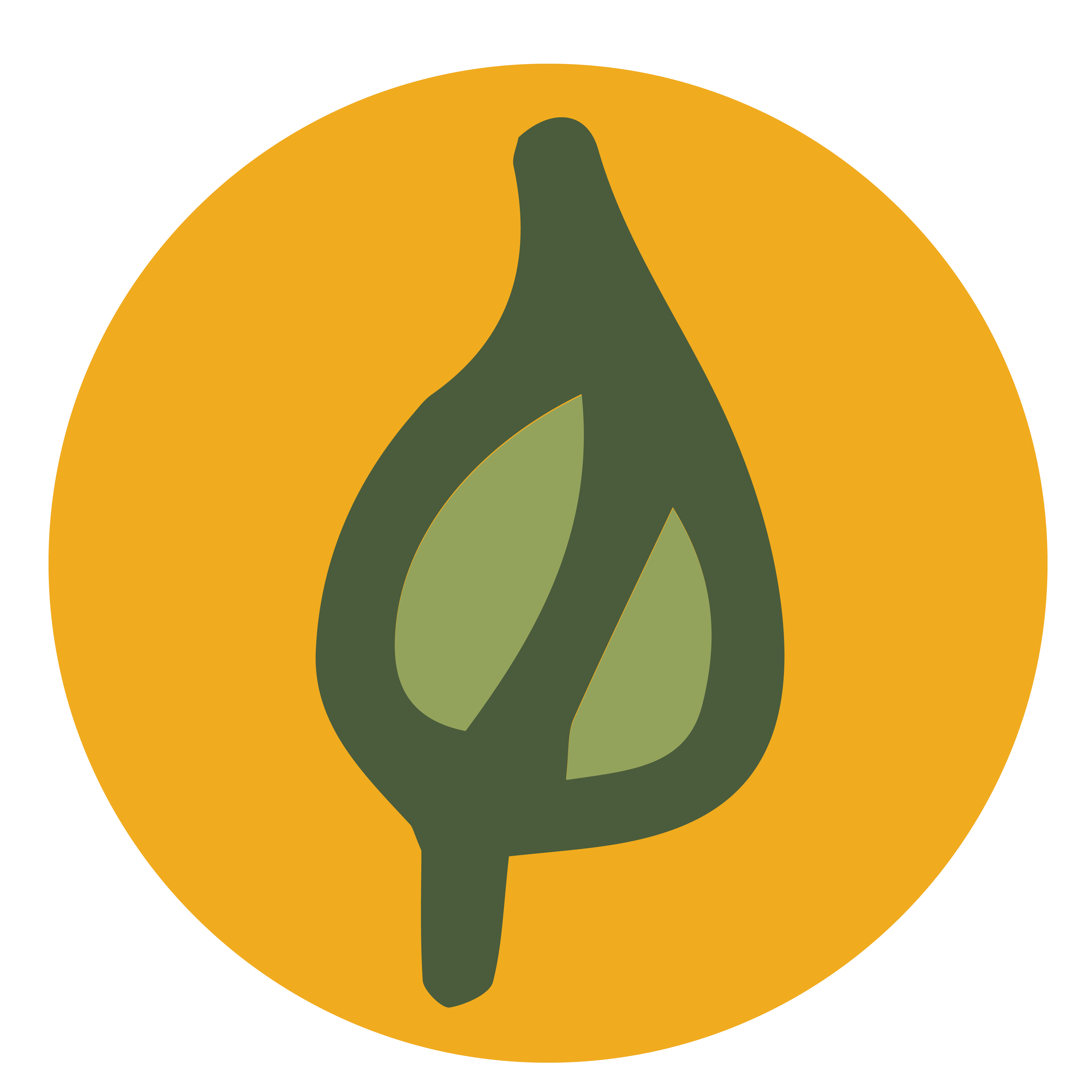 Environmental Imapct Icon